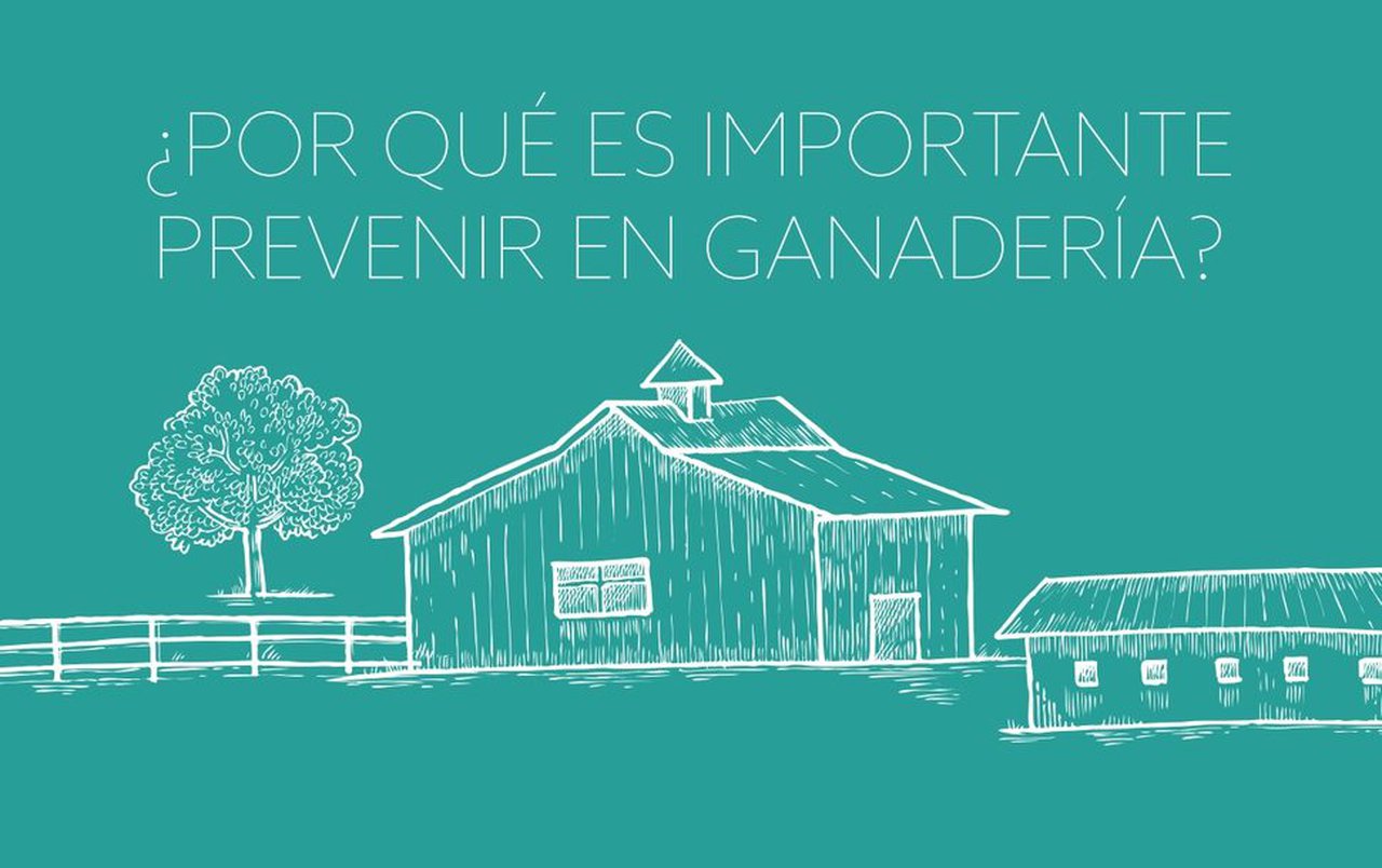 MSD Animal Health únese á Semana Mundial da Inmunización en Gandería