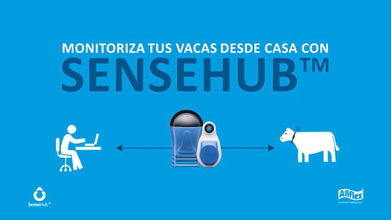 Estas son as razóns para escoller o Sense Hub de Allflex