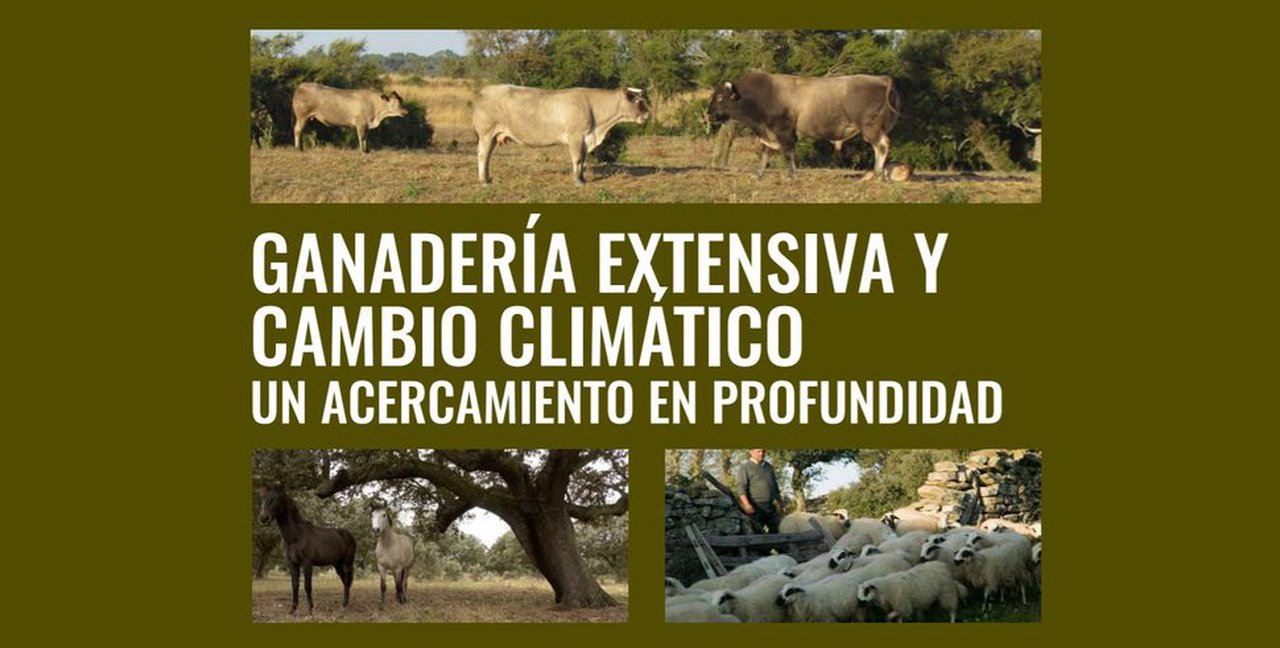 Publicado estudio sobre el papel del pastoreo en la lucha contra el cambio climático