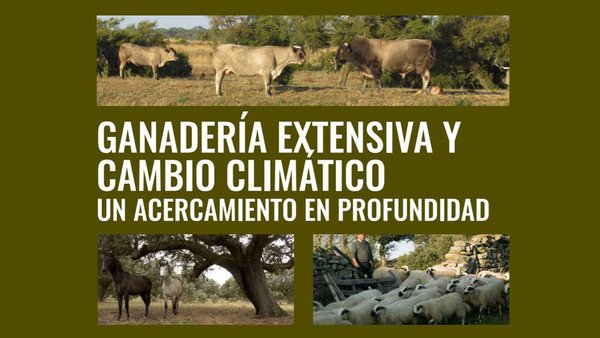 Publicado estudio sobre el papel del pastoreo en la lucha contra el cambio climático
