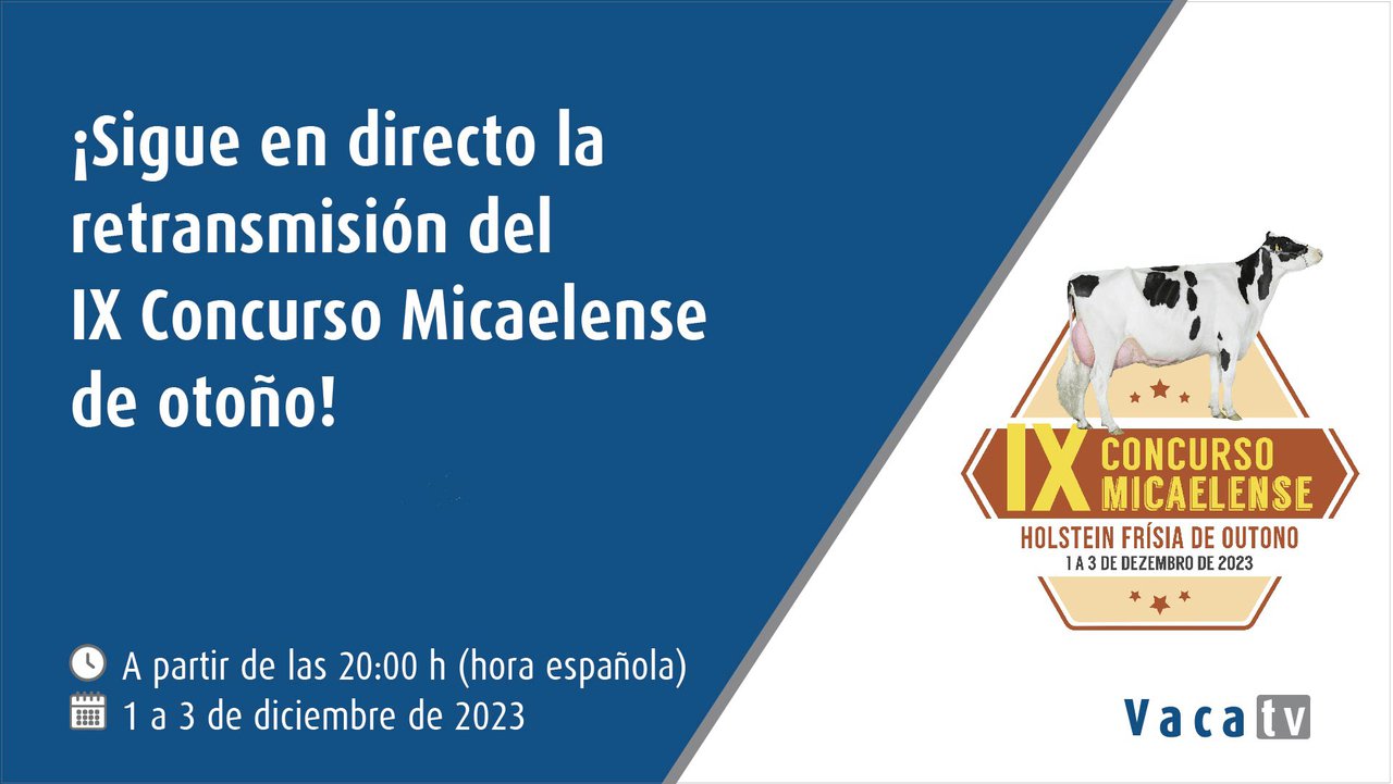 Este fin de semana, nueva edición del concurso frisón de otoño en Azores