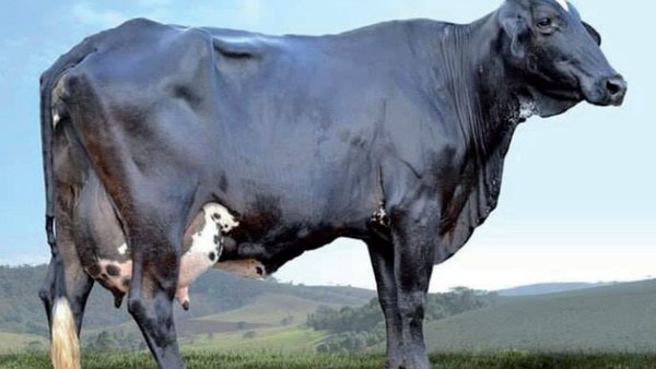 Un viaje fascinante por Latinoamérica