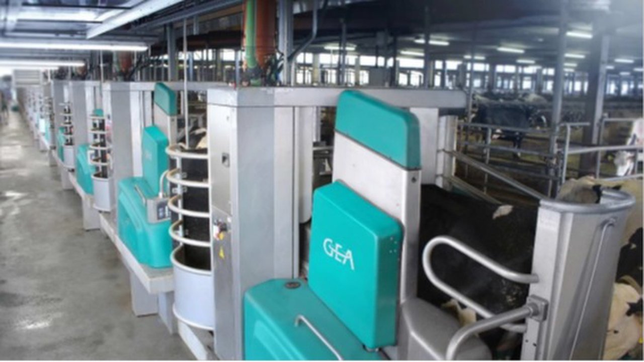 GEA pone en funcionamiento una instalación de ordeño robotizado para 800 vacas con 16 robots R9500