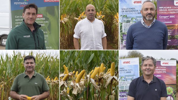 Soaga e Coluga presentaron en Boqueixón os ensaios de variedades de millo para a campaña 2026