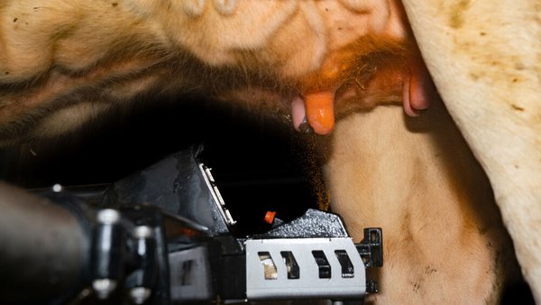 DeLaval lanza Titan, un innovador desinfectante de pezones con tecnología barrera