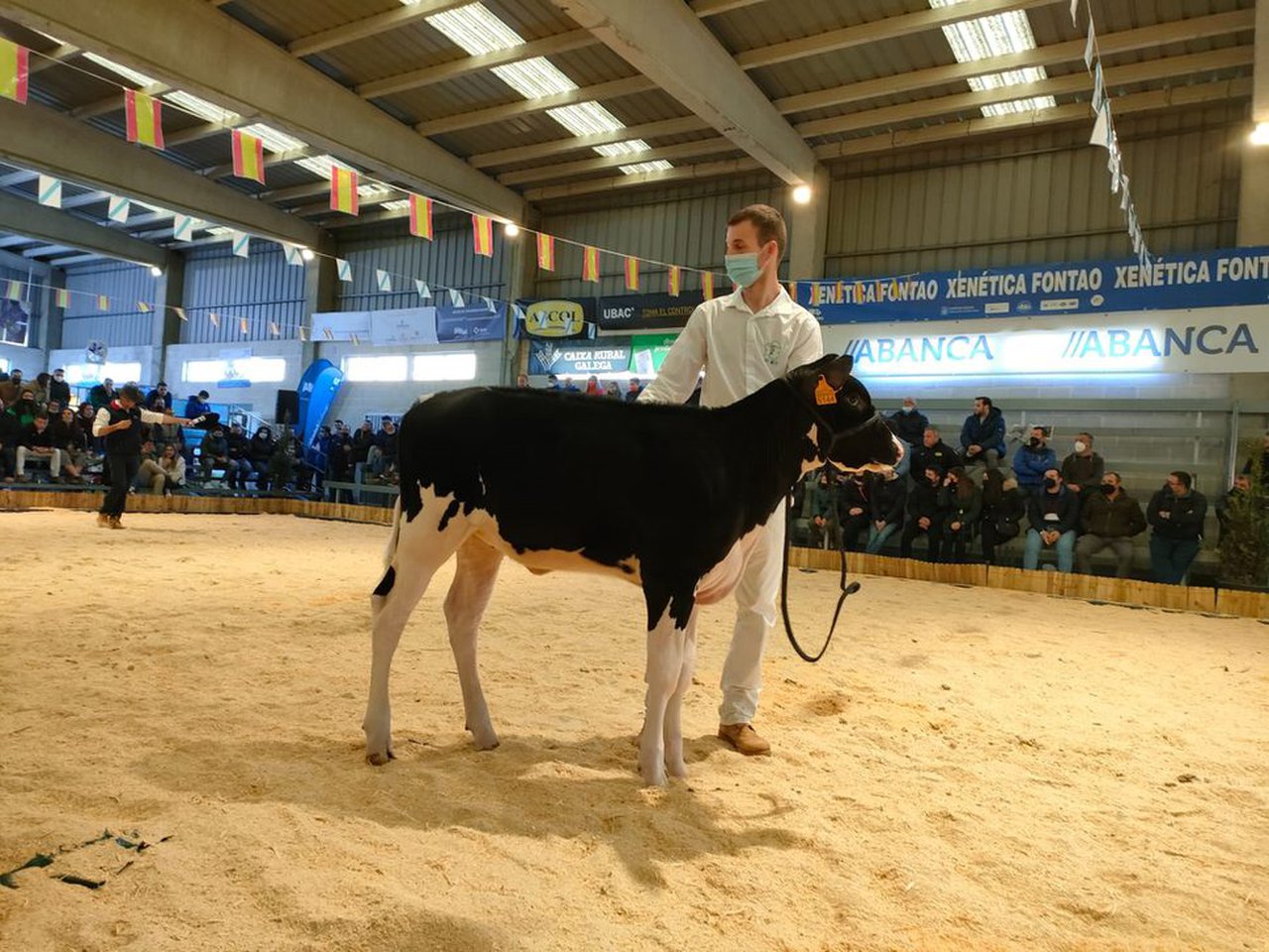 Cundins Hanna Parfect logra el precio más alto en Muimenta