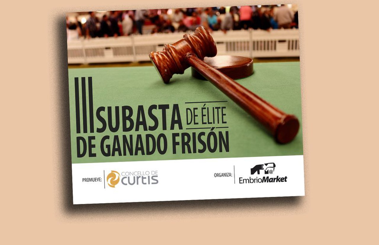 Cuenta atrás para la III Subasta de Élite de Ganado Frisón