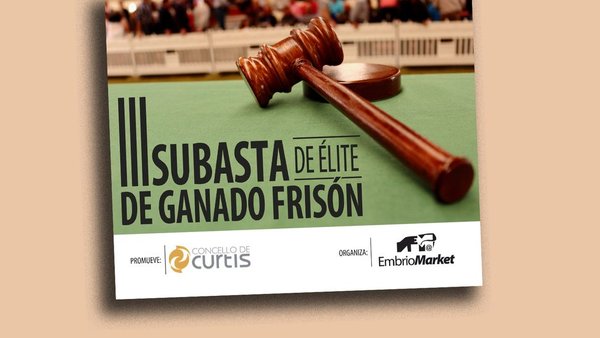 Conta atrás para a III Poxa de Elite de Gando Frisón