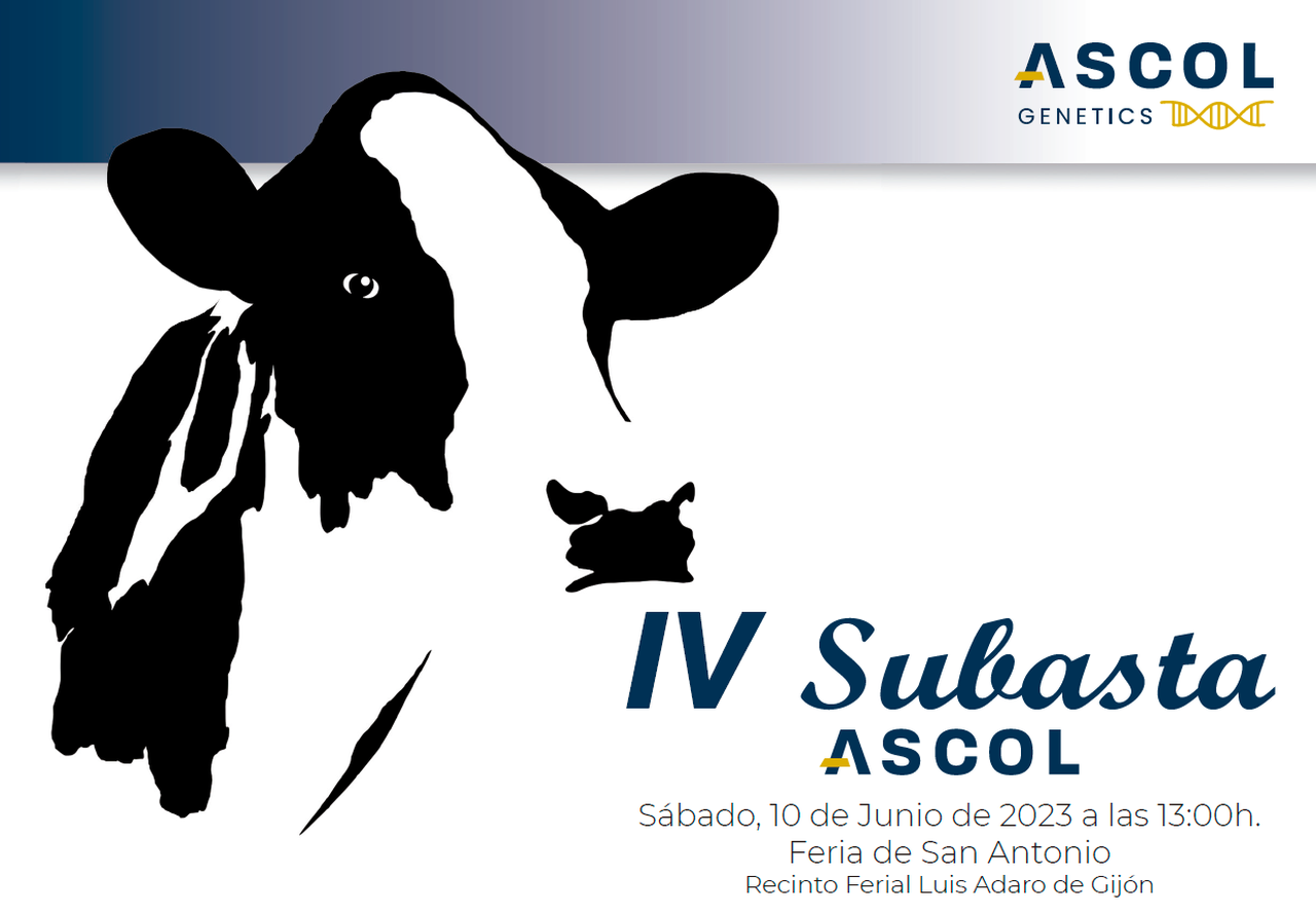 Este sábado tendrá lugar la IV Subasta Ascol en Gijón