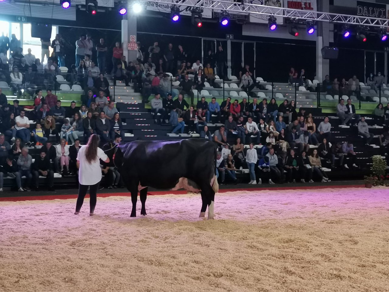 La subasta de Feiradeza alcanzó un volumen de negocios de 49.500 euros