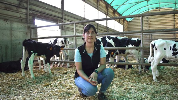 Fallo de la TIP en becerros (I): la importancia del calostro