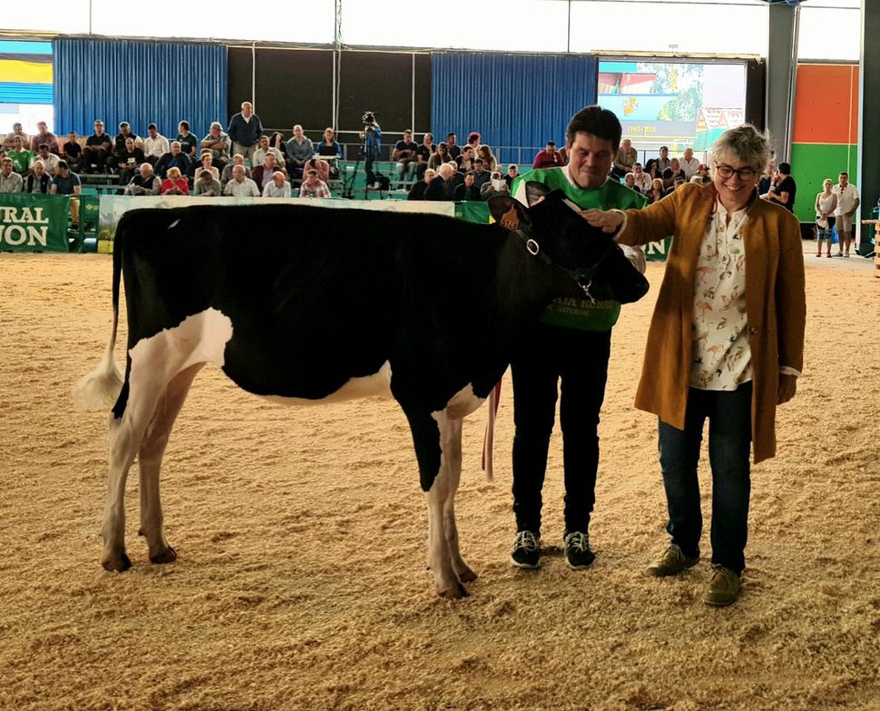 Parlero Beemer Dohas se proclama ternera campeona de Asturias