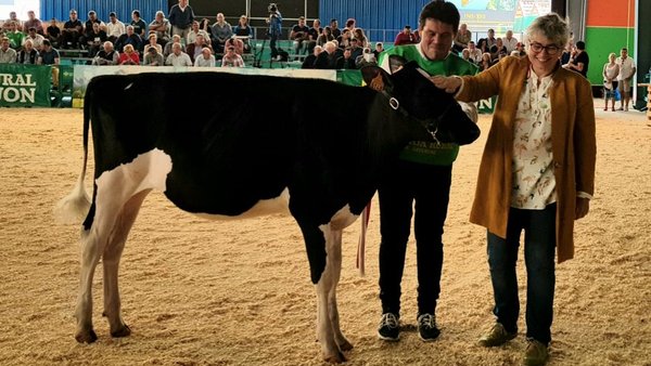 Parlero Beemer Dohas se proclama ternera campeona de Asturias