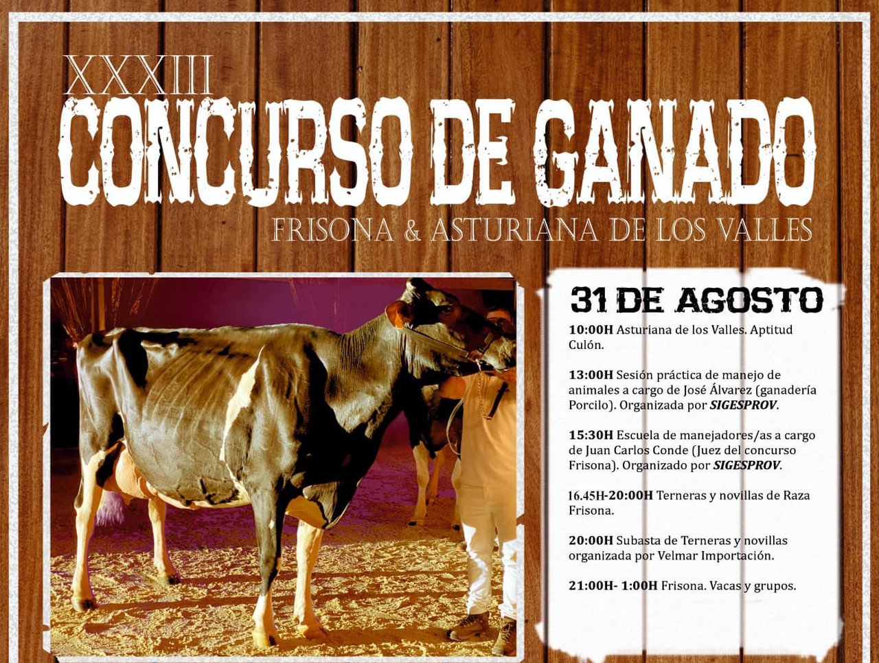 Tineo celebra sus concursos de ganado el último sábado de agosto y primer domingo de septiembre