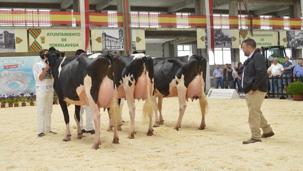 Comenzamos la retransmisión del Regional de Cantabria