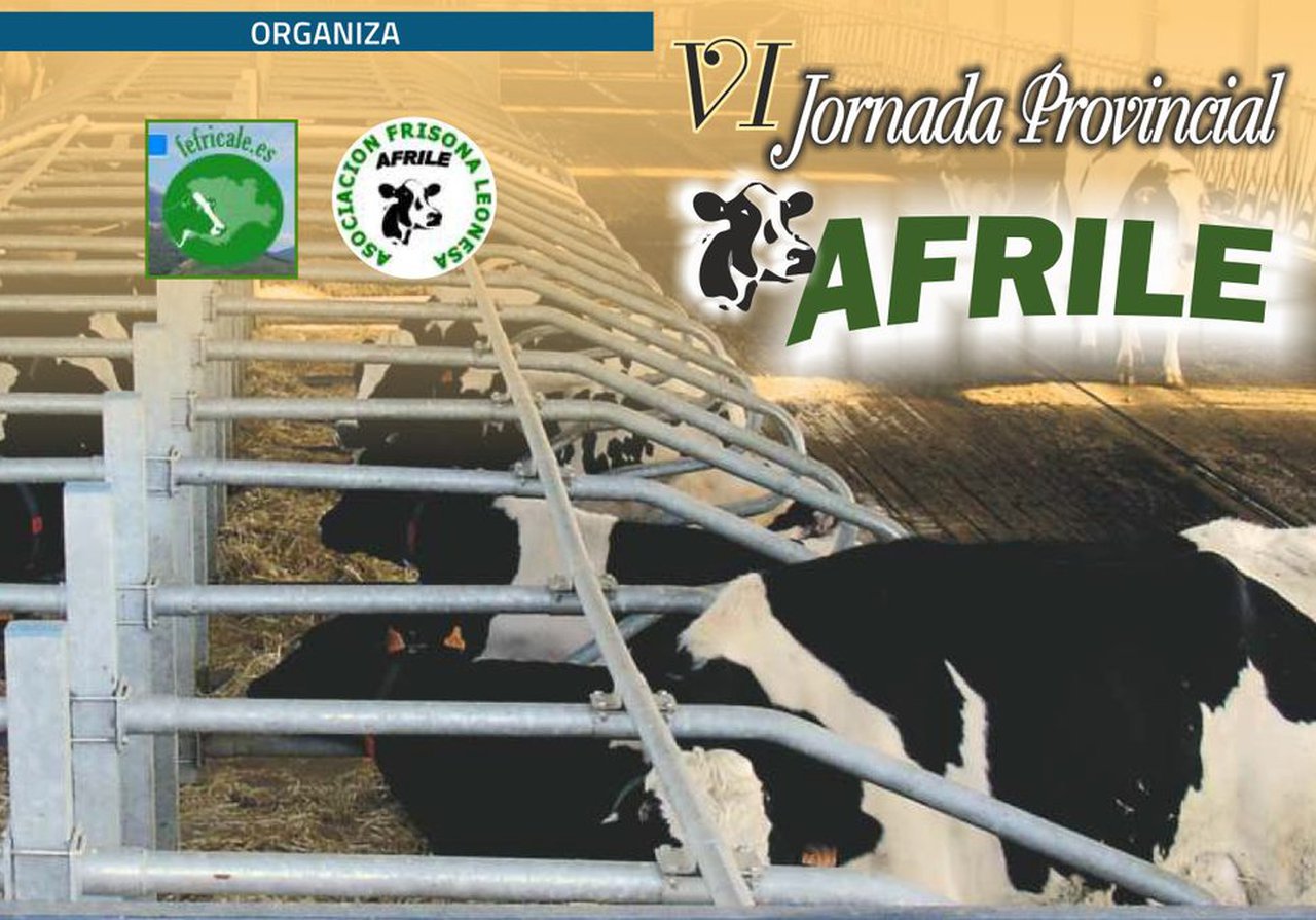 Todo preparado para la VI Jornada Provincial Afrile
