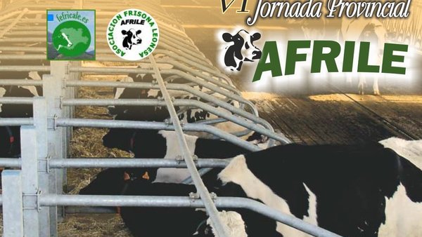 Todo preparado para la VI Jornada Provincial Afrile