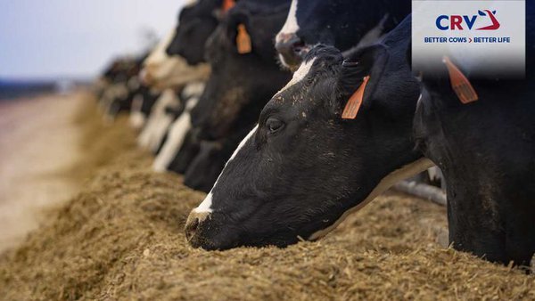 Curso sobre as estratexias para mellorar a eficiencia na alimentación
