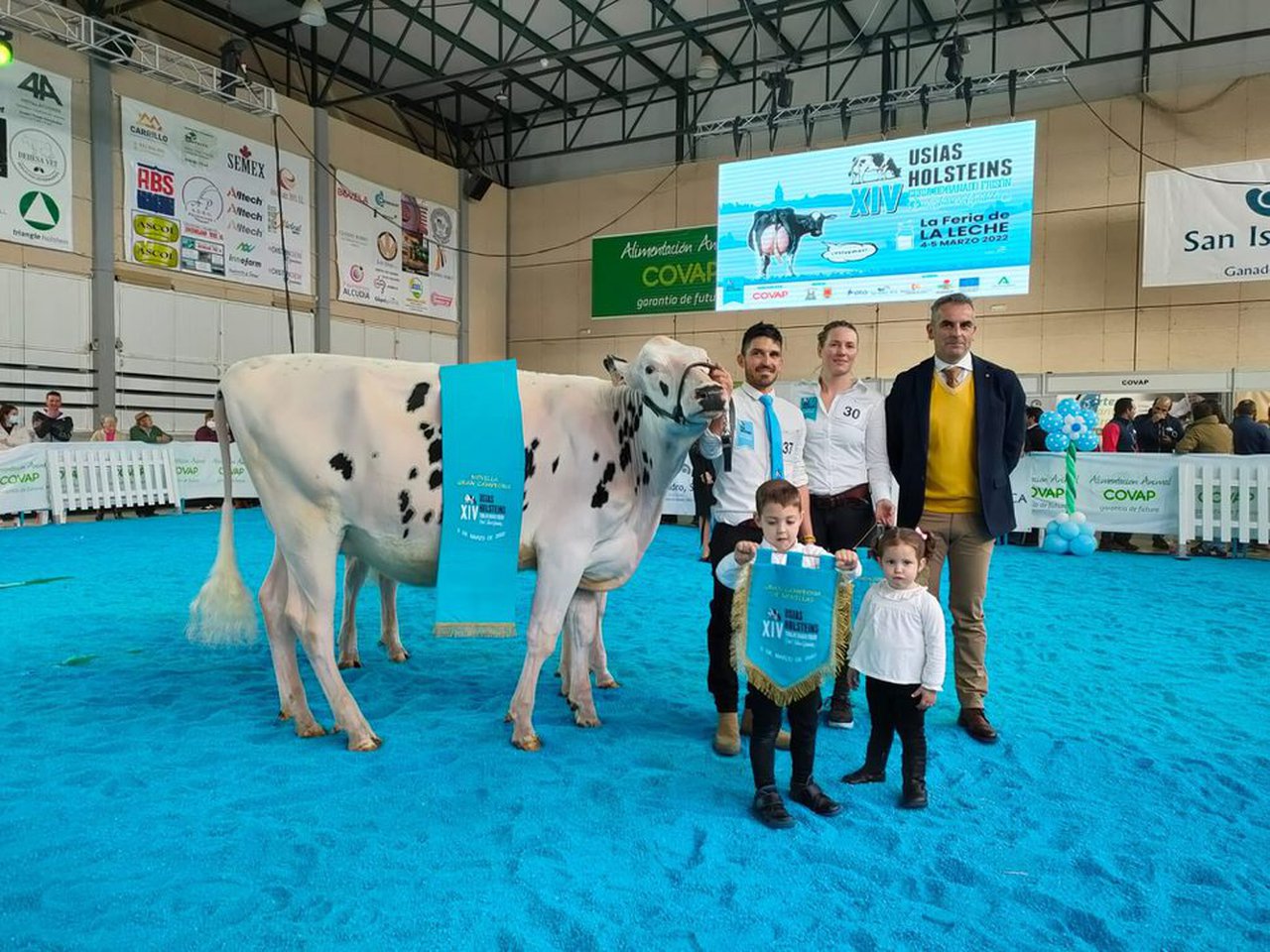 H.Tobias Silvalisa, elegida novilla gran campeona en Dos Torres