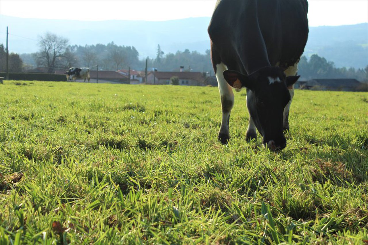 Abanca Agro celebra un encuentro digital para clientes del sector agro sobre la próxima reforma de la PAC