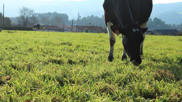 Abanca Agro celebra un encuentro digital para clientes del sector agro sobre la próxima reforma de la PAC
