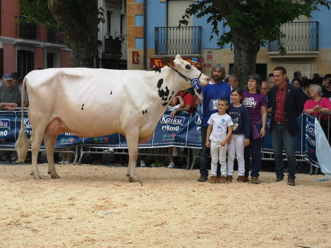 Ondazarte Meridian Afrodita, gran campeona del concurso de Irún
