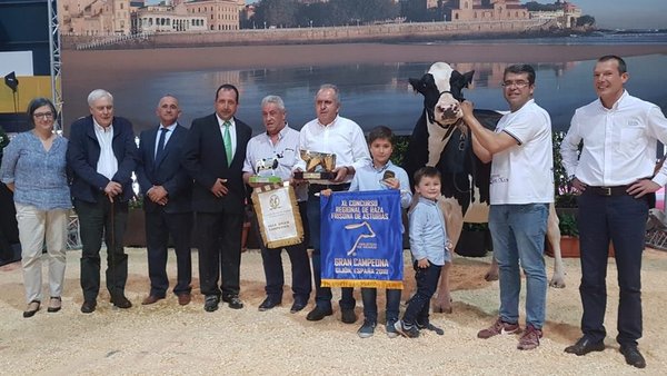 ¡Badiola Airlift Kenda, nueva vaca gran campeona del regional de Asturias!