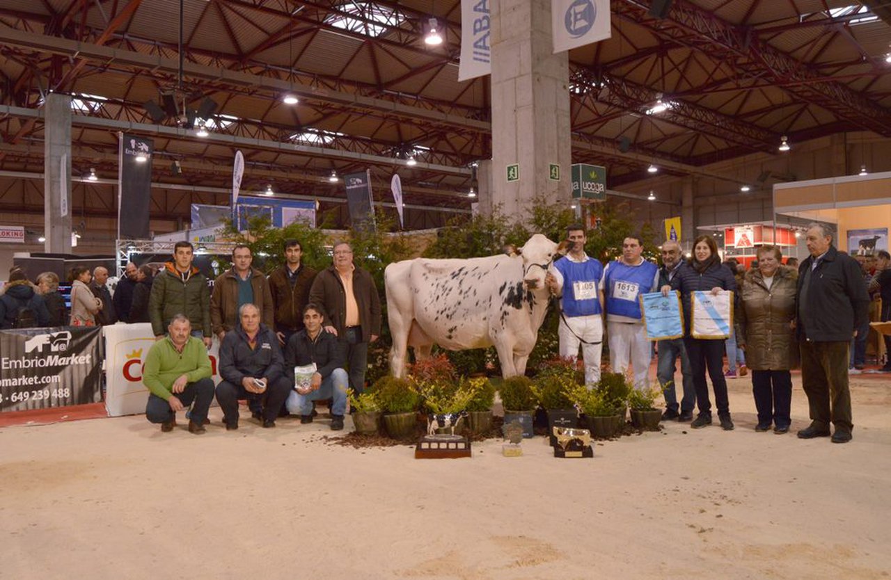 No habrá concurso frisón durante la Semana Verde de Galicia 2018