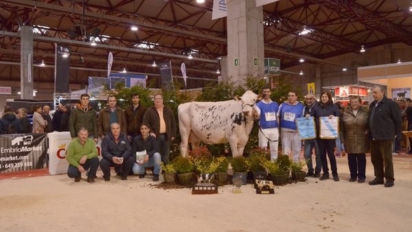 No habrá concurso frisón durante la Semana Verde de Galicia 2018