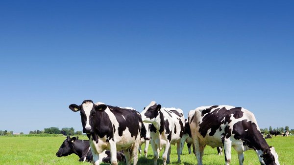 Agroseguro asina un novo convenio de colaboración coa Xunta de Galicia