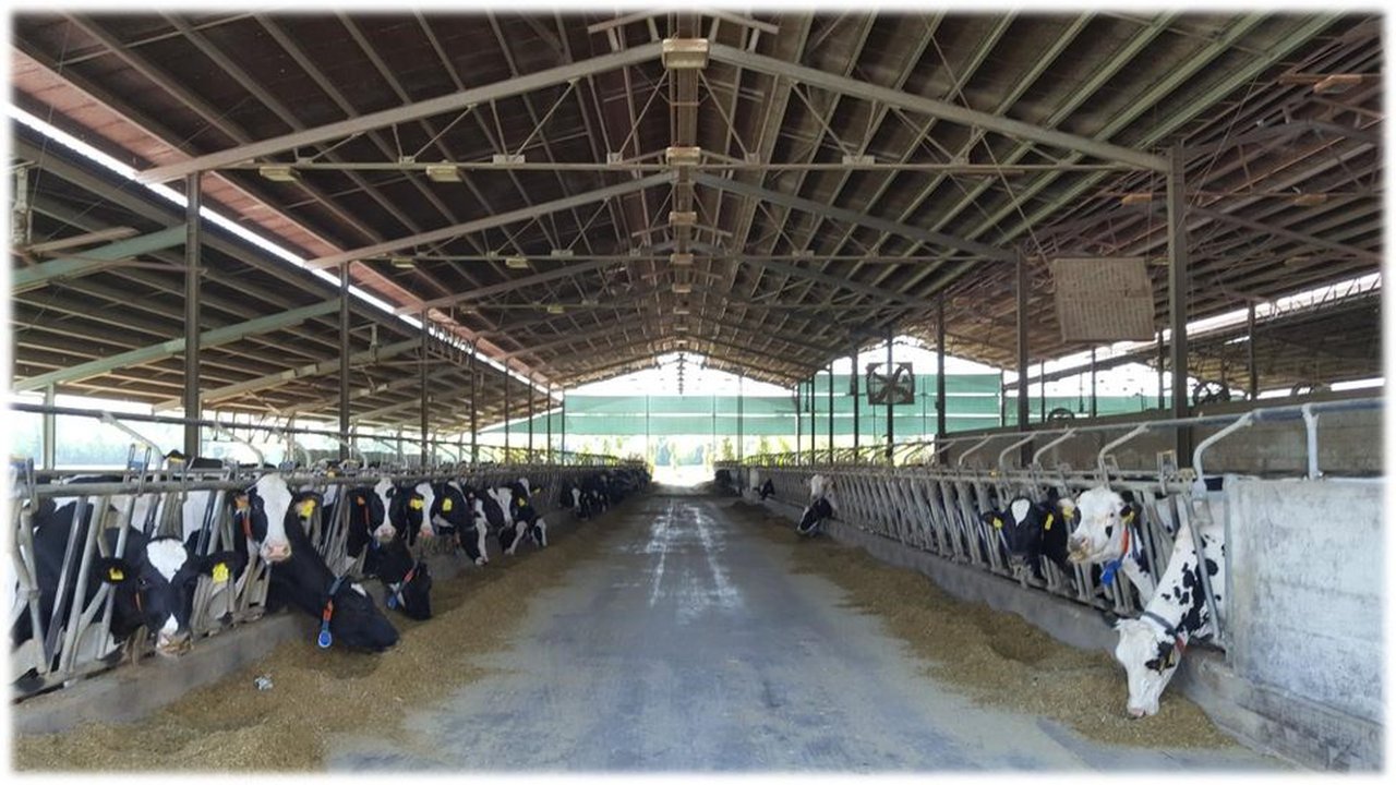 Índices reproductivos más usados en explotaciones de vacas de leche, utilidad y limitaciones