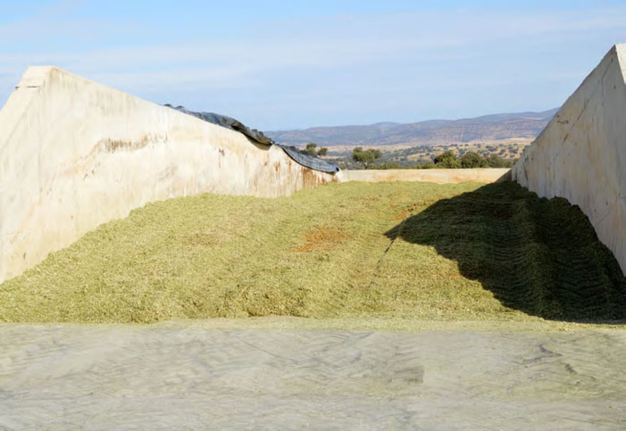 Nuevas tecnologías aplicadas a la producción de silos: el caso particular del silo Shredlage®