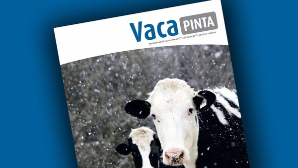 Vaca Pinta 14, ¡en castellano!