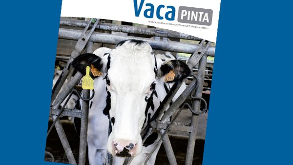 ¡Ya en la calle Vaca Pinta 10!