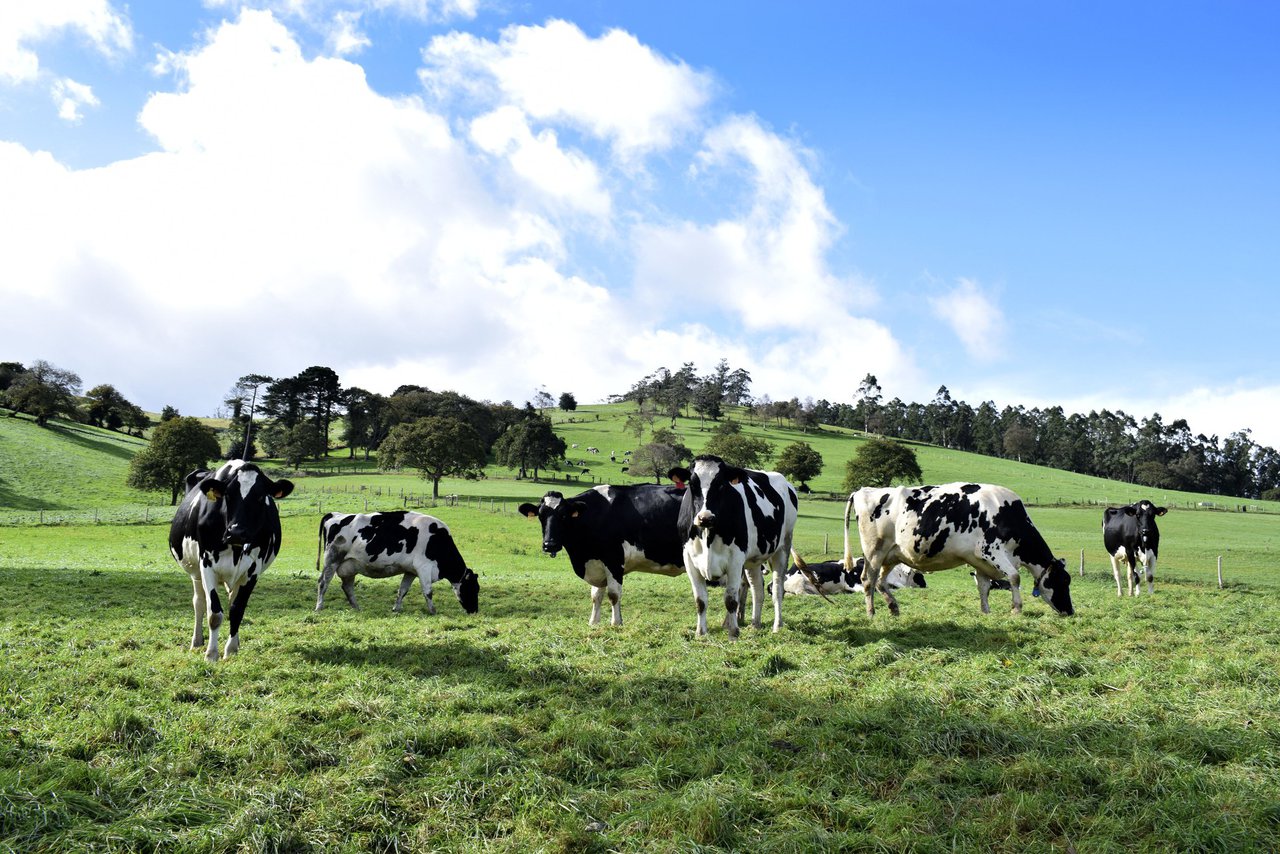 Os agricultores e gandeiros outórganlle ao seguro agrario a valoración máis alta desde 2019