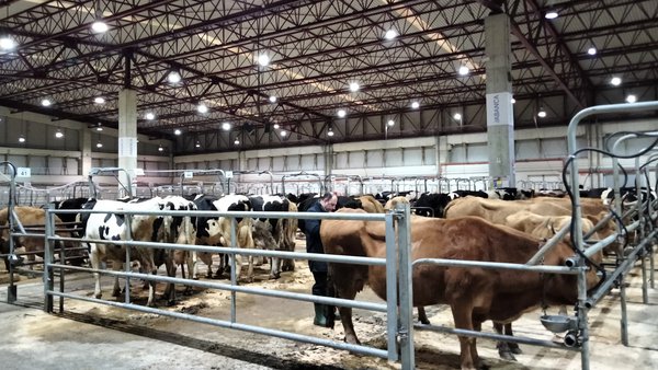 La Central Agropecuaria de Galicia Abanca duplicó en 2022 su volumen de facturación