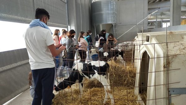 Veterinaria lleva sus aulas hasta la Granja del Campus Terra