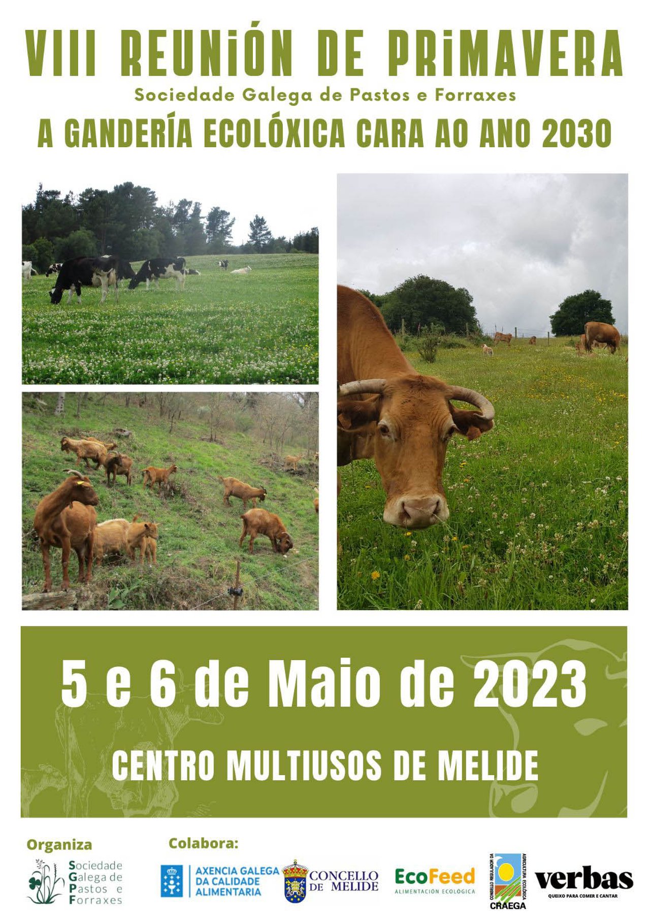 El centro multiusos de Melide acogerá una nueva edición de la Reunión de Primavera organizada por la Sociedade Galega de Pastos e Forraxes