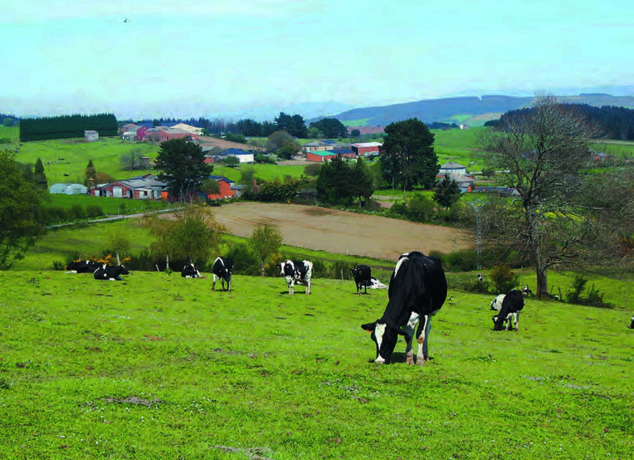 La condicionalidad en la Política Agraria Común (PAC)
