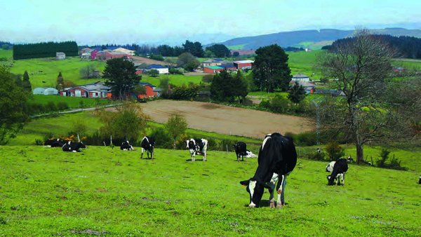 La condicionalidad en la Política Agraria Común (PAC)