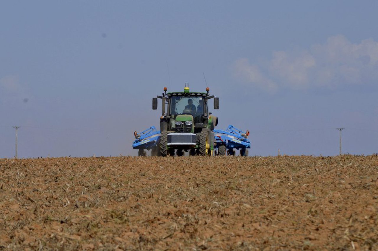 Técnicas actuales para optimizar los recursos en el cultivo de maíz