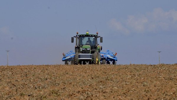 Técnicas actuales para optimizar los recursos en el cultivo de maíz