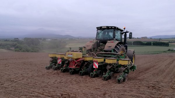 La siembra variable