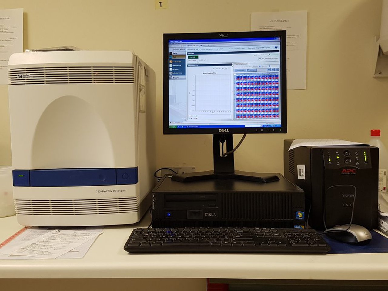 Diagnóstico de mamitis bovina por qPCR: utilidad y aplicaciones