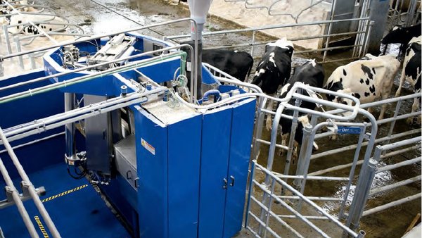 Tipologías y estructura de explotaciones lecheras  con sistema de ordeño robotizado en el noroeste  de España. Grado de satisfacción con el sistema