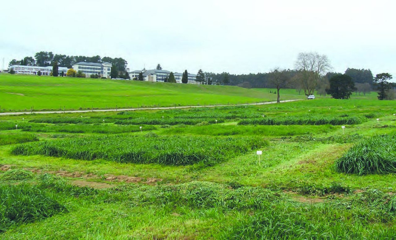 Evaluación productiva y nutricional de variedades comerciales de especies pratenses en siembras de primavera en la zona atlántica de Galicia
