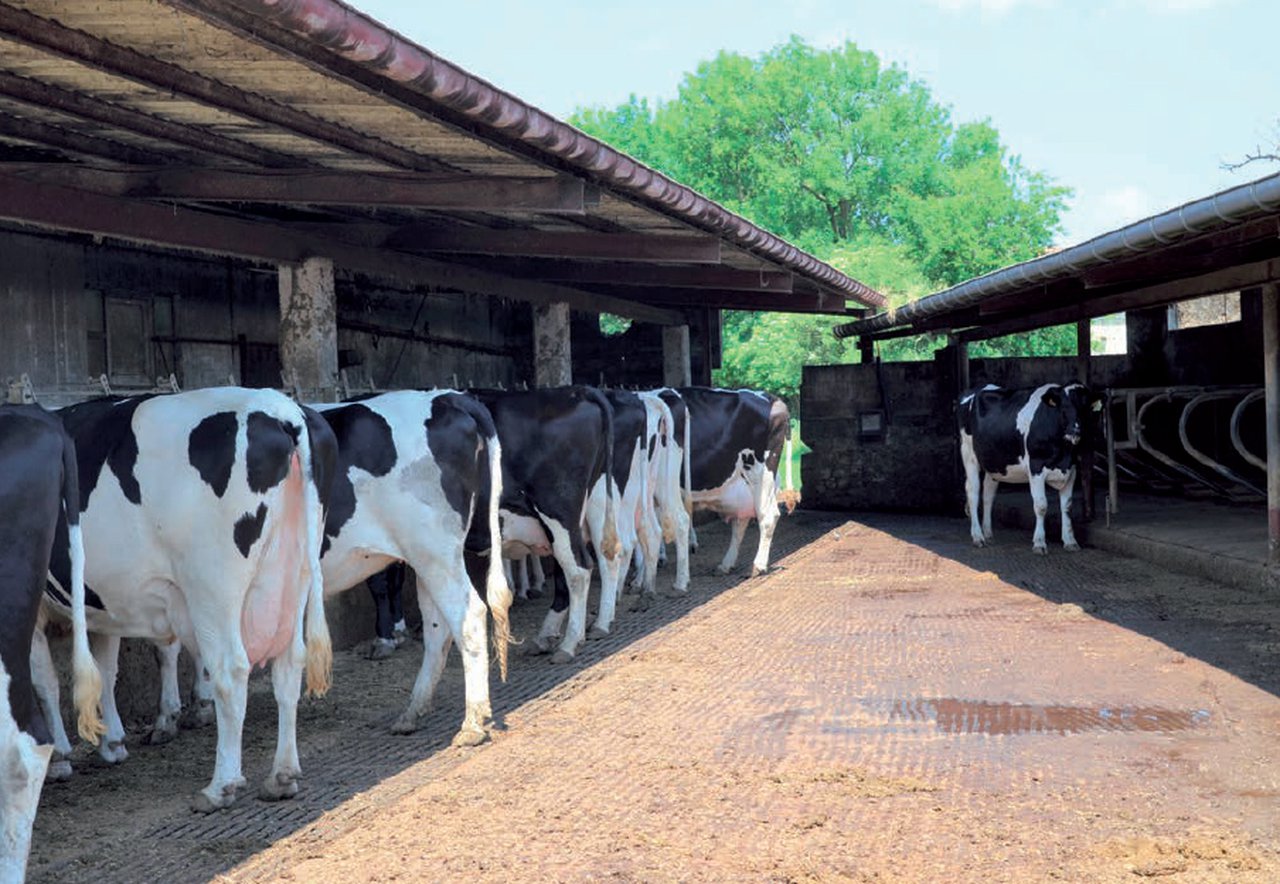 Caracterización productiva y manejo del territorio de una muestra de ganaderías con vacuno de leche en Cantabria según el sistema de alimentación