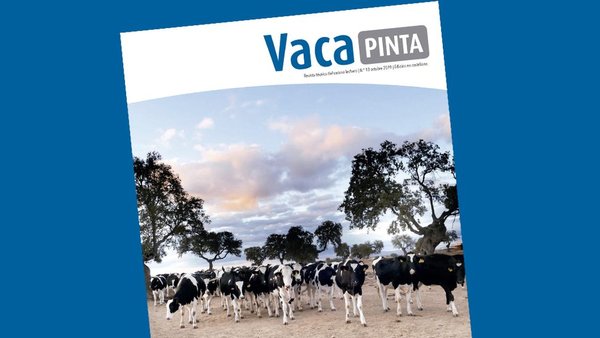 El nuevo número de Vaca Pinta, también en castellano