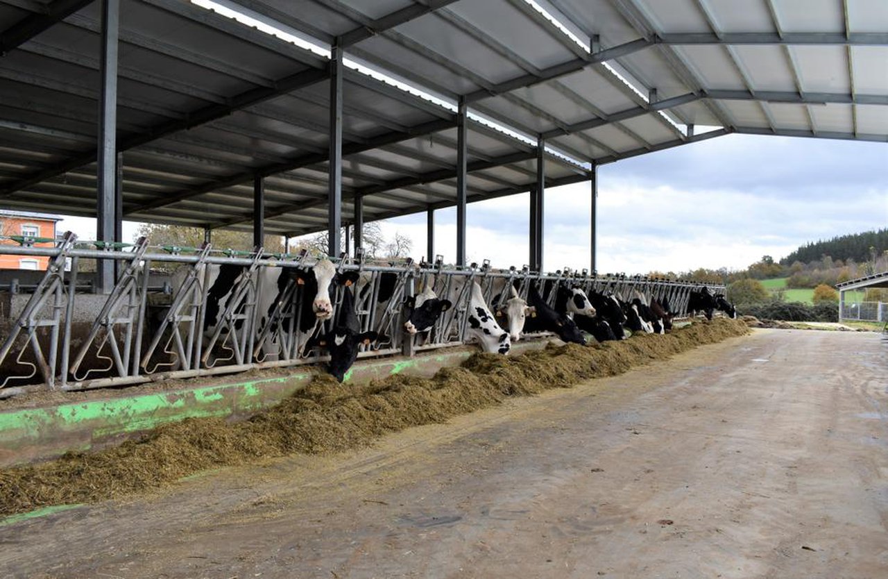 La medida de la realidad: vacas de leche, medio ambiente y futuro