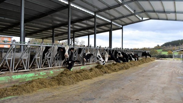 La medida de la realidad: vacas de leche, medio ambiente y futuro